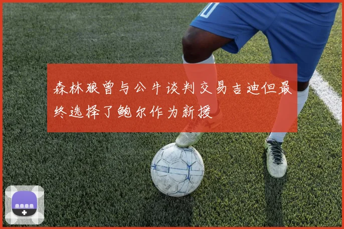 森林狼曾与公牛谈判交易吉迪但最终选择了鲍尔作为新援
